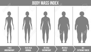 Creative Vector Illustration Of Bmi Body Mass Index Infographic