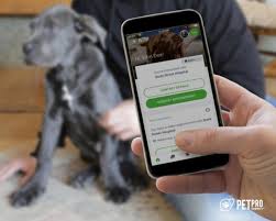 Check spelling or type a new query. Pet Pro Connect Veterinarians New Orleans Nola Animal Clinic