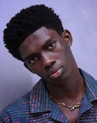 We will discuss afro hairstyles for women who make you look very charming appearance. Top Afro Hairstyles For Men In 2021 Visual Guide