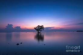 Alone In The Morning Photograph by Dani Agus Purnomo