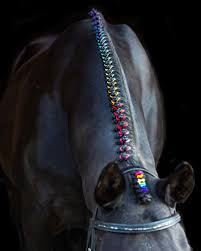 Tease out a section of hair. A Step By Step Guide To Button Braids The Cheshire Horse