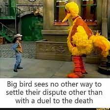 Pin On Bird