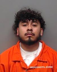 ARELLANO MOISES 07/25/2022