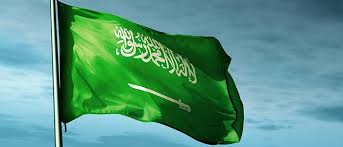اهم انجازات المملكة العربية السعودية 2020 المرسال