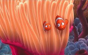 May 30, 2003 · finding nemo: Found Nemo Stunning Photographs Capture Indonesia S Clownfish Daily Mail Online