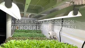 The microgreens, soil, fertilizer, planting guide and a stake or trellis. Active Grow Led Lights For Microgreens Youtube