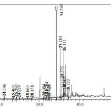 Image result for Vernonia fractiflexa