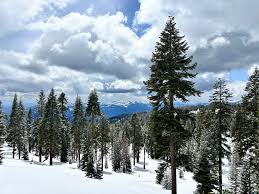 Mount Shasta's Sacred Sites: Bunny Flat ...