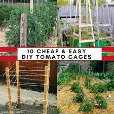 Perhaps you're actually in a little bit of a hurry and you'd more interested in getting your tomato trellis built quickly than you are 9. 10 Ideas For Homemade Tomato Cages Cheap Easy You Should Grow