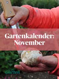 Was Im November Im Garten Zu Erledigen Ist Gartenkalender Garten Gartentipps
