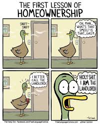 6 Comics That Perfectly Sum Up The Agony Of Owning A Home Motherhood Funny Fowl Language Comics Words With Friends