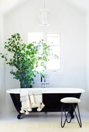 Placee Devant La Fenetre Cette Plante Xxl Vient Tamiser La Lumiere Maison Et Appartement Deco Salle De Bain Baignoire Fonte