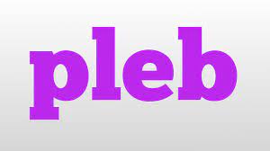 Pleb Meaning And Pronunciation Youtube
