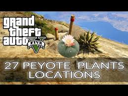 By buying this product you can collect up to 7 loyalty points. Gta 5 All 27 Peyote Plant Locations Play As Animals Cryptozoologist Trophy Achievement Youtube