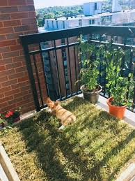 80 Small Apartment Balcony Decorating Ideas Apartment Balcony Decorating Idea 2020 Daire Balkonlari Kendin Yap Apartman Dairesi Dekoru Bahce Tasarim Fikirleri