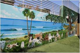 Give your pet the care they deserve and help save the lives of other animals. Animal Art Dogs And Cats Art Mural At Uc Davis Veterinary Specialty Hospital San Diego Ca Br Animal Mural Cat Art Mural