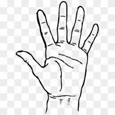 Free White Hand Png Png Transparent Images Pikpng Free for commercial use no attribution required high quality images. white hand png png transparent images