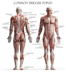 How To Identify Muscle Knots And What To Do About Them