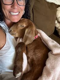 Is this normal behavior! 🤣