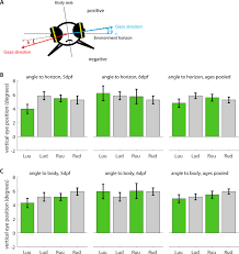 We would like to show you a description here but the site won't allow us. Spherical Arena Reveals Optokinetic Response Tuning To Stimulus Location Size And Frequency Across Entire Visual Field Of Larval Zebrafish Elife