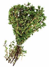 10 pages · 1,871 reads. Harvesting Thyme And How To Dry Thyme
