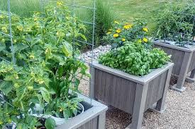 Pests are common inside the garden. 3 Secrets To Stop Garden Pests Naturally How To Keep Plants Bug Free