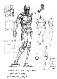 Https Vk Com Fave Z Photo 73879451 396697783 Wall 73879451 11200 Anatomiya Anatomicheskij Risunok Hudozhestvennaya Anatomiya