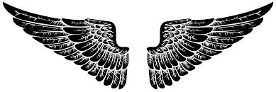 Free Angels Wings 1203369 Png With Transparent Background