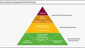 Pest prevention and plant regulation. 5 Point Programme For Sustainable Plant Protection Environmental Sciences Europe Full Text