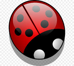 Circle Pattern Png Download 687 800 Free Transparent Beetle Png Download Cleanpng Kisspng Discover 497 free ladybug png images with transparent backgrounds. circle pattern png download 687 800