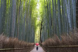 Jun 30, 2021 · are there any onen's in japan that are both tattoo friendly and swimsuit friendly? 4 Best Tattoo Friendly Onsens In Kyoto Tea Ceremony Japan Experiences Maikoya