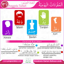 Sekarang kamu sudah tahu apa bahasa arabnya ucapan selamat baik itu selamat pagi, selamat siang, selamat sore, selamat malam dan selamat datang serta jawabannya. Anggota Tubuh Bagian 1
