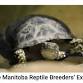 Manitoba Reptile Breeder Expo