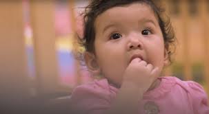 Neighborhood Zone in Brooklyn