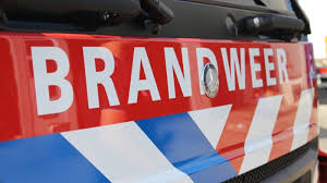 Safarpark und speelland beekse bergen sind wieder geöffnet! Verdachte In Beeld Na Brandstichting Bij Safaripark Politie Nl