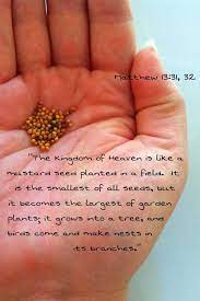 The Kingdom Of Heaven Is Like A Mustard Seed Planted In A Field It Is The Smallest Of All Seeds But It Bec Mustard Seed Kingdom Of Heaven Mustard Seed Plant