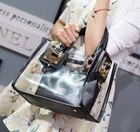 Women Transparent Shoulder Crossbody Bag, 2 in 1 Designer Fashion Handbag  Purse