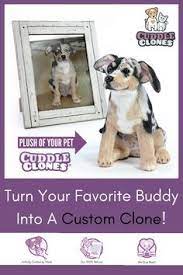Custom Stuffed Animal Of Your Pet Plush Dogs Cats Cuddle Clones Custom Stuffed Animal Pets Cuddling Animals
