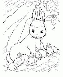 Find out free bambi coloring pages to print or color online on hellokids. Baby Bunny Coloring Page Coloring Home