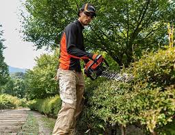 Following that, the first ever… Hc 2320 Double Sided Hedge Trimmer Echo