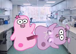 Post 3517644: amoeba_sisters the_amoeba_sisters