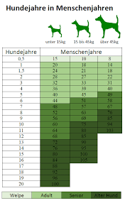 Hundealter Hundejahre In Menschenjahre Umrechnen Hundejahre Hundealter Hundejahre Menschenjahre