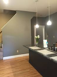 Benjamin moore knoxville gray (moody blue/gray with a hint of green) sherwin williams dovetail (deep warm gray) Sherwin Williams Sw Dovetail Kitchen Gray Kitchen Kitchen Paint Paint For Kitchen Walls Kitchen Wall