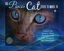 We take a look at the stars to see what kind of gemini cats are chatty and charming creatures. Kitty Horoscope March Belongs To Pisces Cat A Sweet Paradox Catster