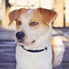 Jon Stidham (jonstidham)