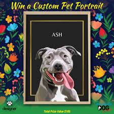 Die vorfahren dieses hervorragenden hütehundes waren kurzhaarige schottische collies, aus denen australische schaffarmer gezielt hunde für ihre. Competitions Australian Dog Lover