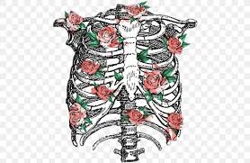 The ribs are a set of twelve paired bones which form the protective 'cage' of the thorax. Rib Cage Human Skeleton Anatomy Png 480x535px Rib Cage Anatomy Art Cage Costume Design Download Free