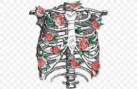 Rib cage anatomy watercolor this rib cage anatomy art print is a wonderful addition to any interior and will make a perfect v carefully printed to order in our studio original design made by us at codex. Rib Cage Human Skeleton Anatomy Png 480x535px Rib Cage Anatomy Art Cage Costume Design Download Free