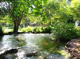 Things to do in bentong. Berendam Air Hangat Dengan Tiga Ribu Perak Di Desa Soa