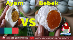 Telur ayam dan telur bebek. Inilah Perbedaan Telur Bebek Telur Ayam Setelah Di Bikin Telur Asin Cara Membuatnya Youtube
